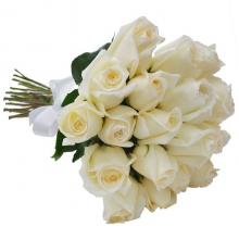 Little Angel Rose